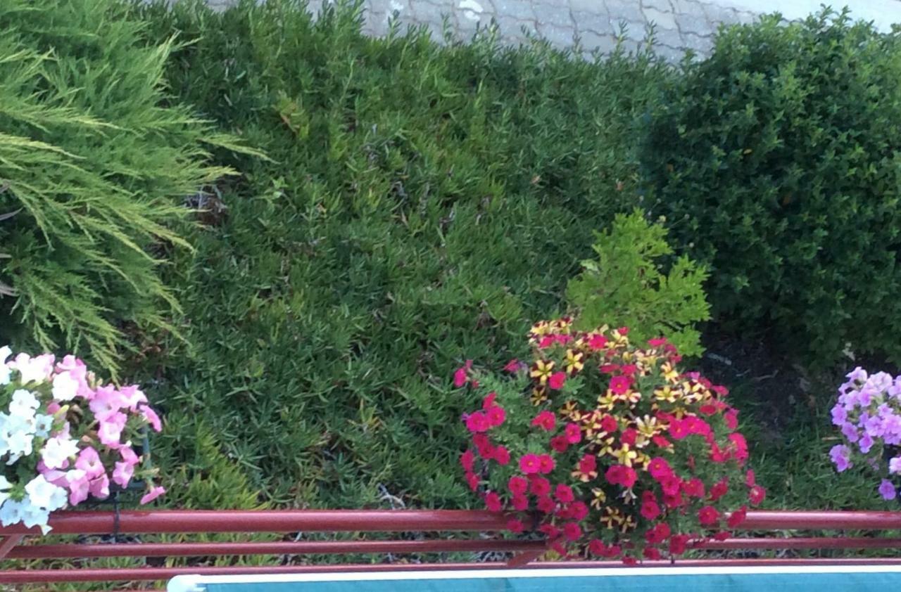 منزل الضيف Mesão Frio  في Casa No Douro المظهر الخارجي الصورة